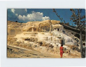 Postcard Minerva Terrace at Mammoth, Yellowstone National Park, Mammoth, Wyoming