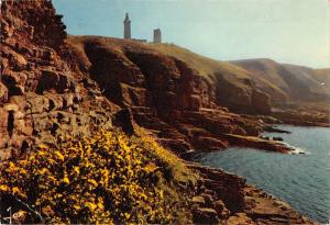 BT8494 Le Cap Frehel le phare et la cote sauvage        France