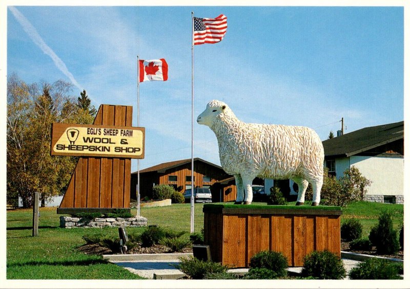 Canada Ontario Minnitaki Egli's Sheep Farm Wool & Shepskin Shop