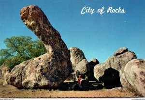 New Mexico Dinosaur Rock City Of Rocks State Park Near Deming