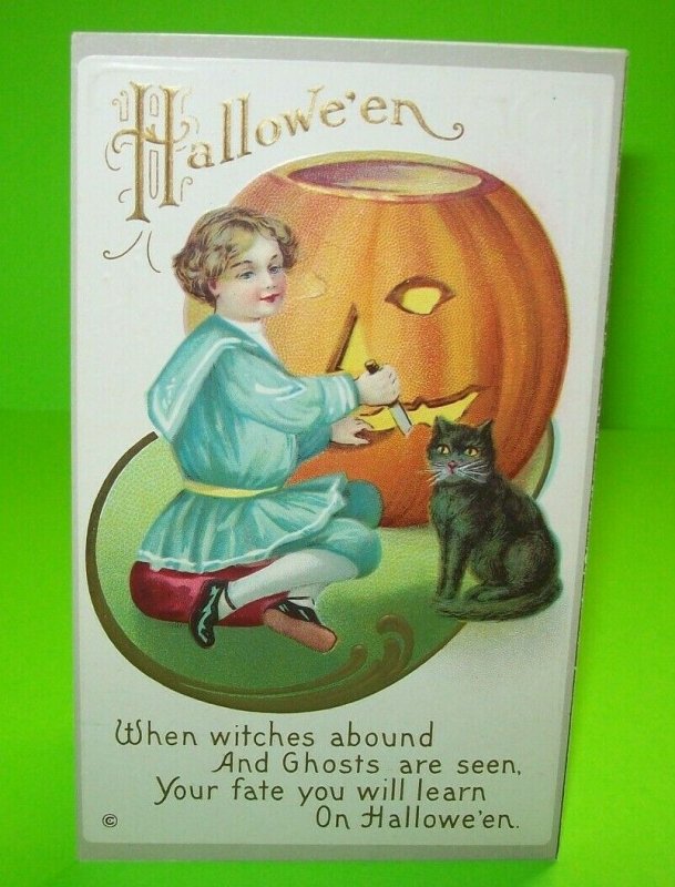 Halloween Postcard Original Stecher Black Cat Witches Abound 226 D Embossed Art