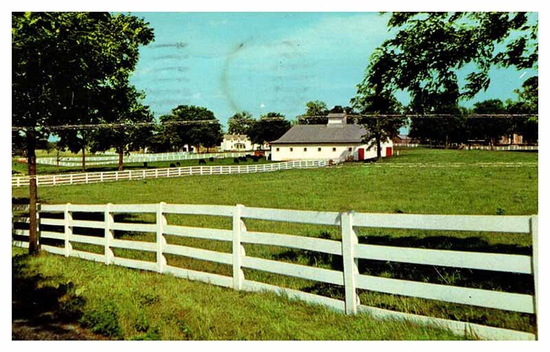 Postcard FARM SCENE Lexington Kentucky KY AR1732