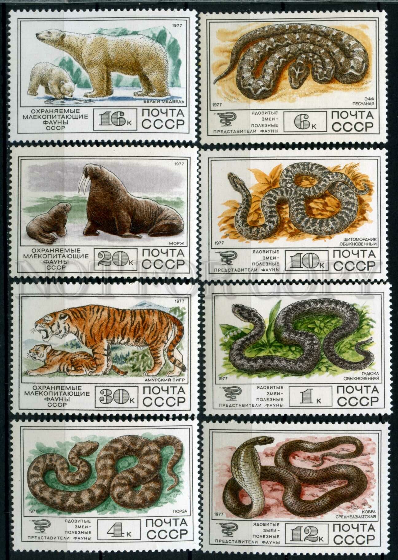 507824 USSR 1977 year Fauna animals snakes stamp set | Other / Unsorted, Postcard / HipPostcard 507824 USSR 1977 year Fauna animals snakes stamp set | Other / Unsorted, Postcard / HipPostcard