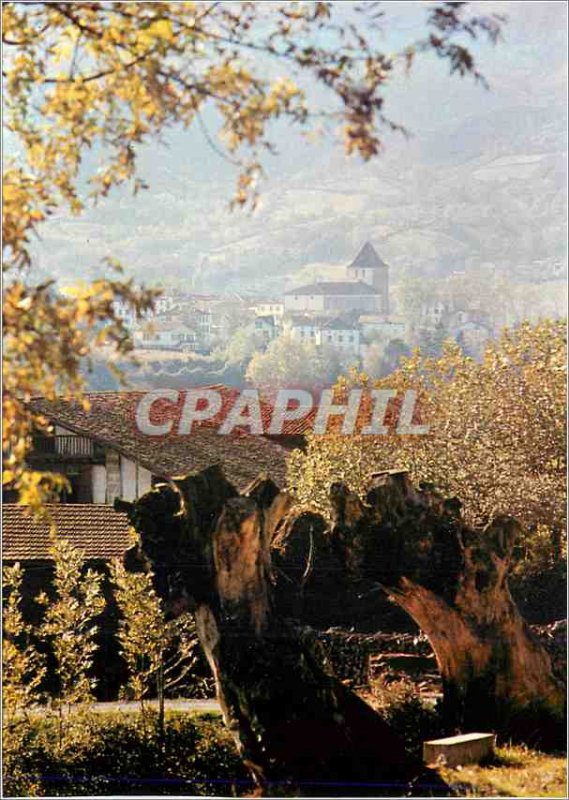 Postcard Modern Sare (Pyrenees Atlantiques) Charming Traditions Village
