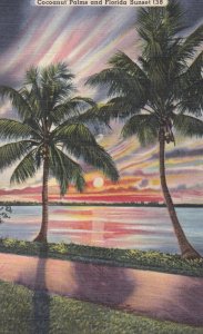 Florida Beautiful Sunset and Cocoanut Palms