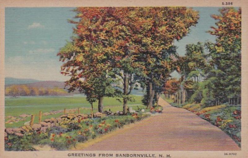 New Hampshire Greetings From Sanbornville Curteich