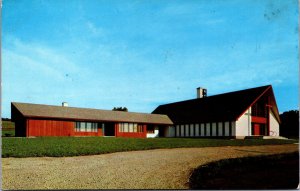 USA Menomonie Wisconsin Street View Chrome Postcard C032