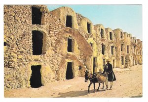 Tunisia Africa Medenine Ghorfas Berber Storage Rooms Donkeys TANIT 4X6 Postcard