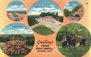 Vintage Postcard 1930s Views Greetings From Great Smoky Mountains National Park