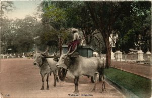 PC CPA SINGAPORE, WATER-CAR, Vintage Postcard (b18651)