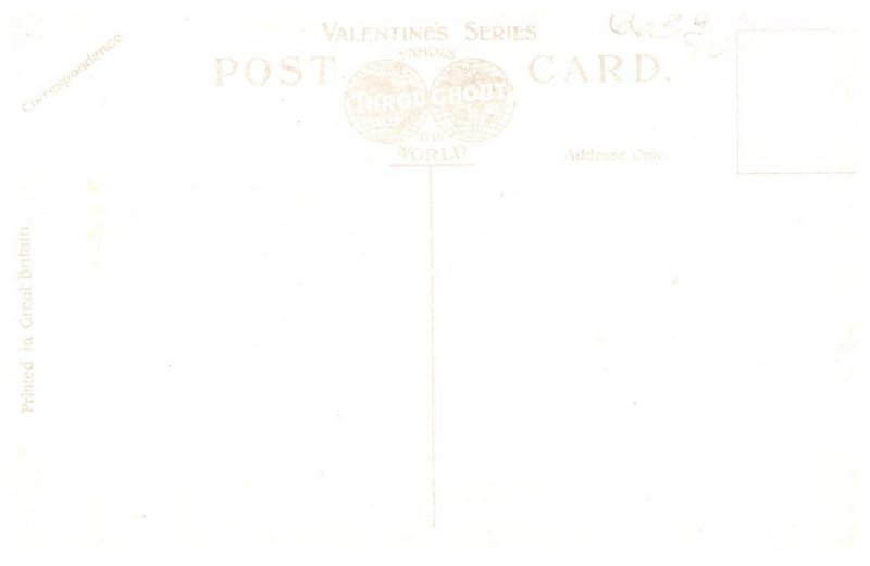 Turbine Steamer Viking