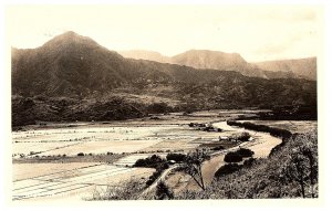 RPPC Postcard Panoramic View of Hanalei Valley Taro Fields Kauai c1950