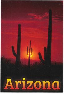US Arizona. sunset - Beautiful with giant Saguaros. Mint Card.