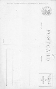 J39/ Birmingham Alabama Postcard c1910 7View Buildings Fancy 115