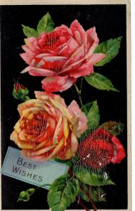 US    PC1175  BEST WISHES ROSES