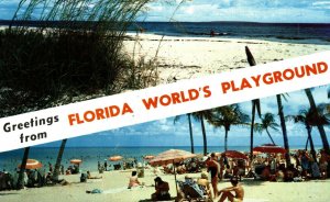 USA Greetings From Florida World's Playground Chrome Postcard 08.67