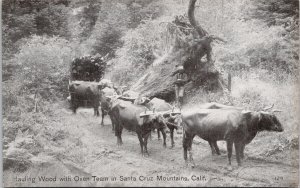 Santa Cruz Mountains CA Oxen Team Hauling Wood Vintage Postcard H29