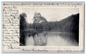 1907 Scenic View Of Echo Lake From Briarcliff Manor New York NY Antique Postcard 