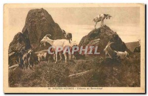 Postcard Old High Vosges at Goats Barrenkopf