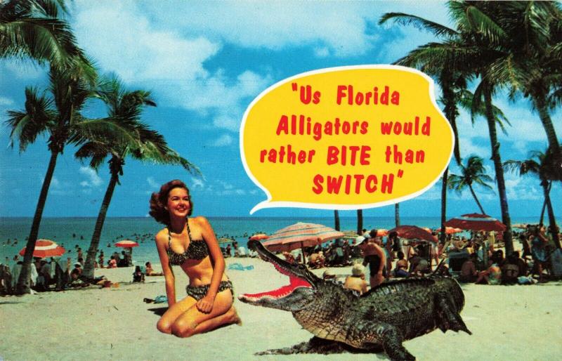 Postcard Fun in Florida Alligators