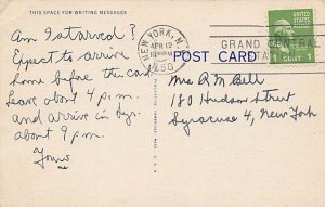 Cat Comic Cat Postcard