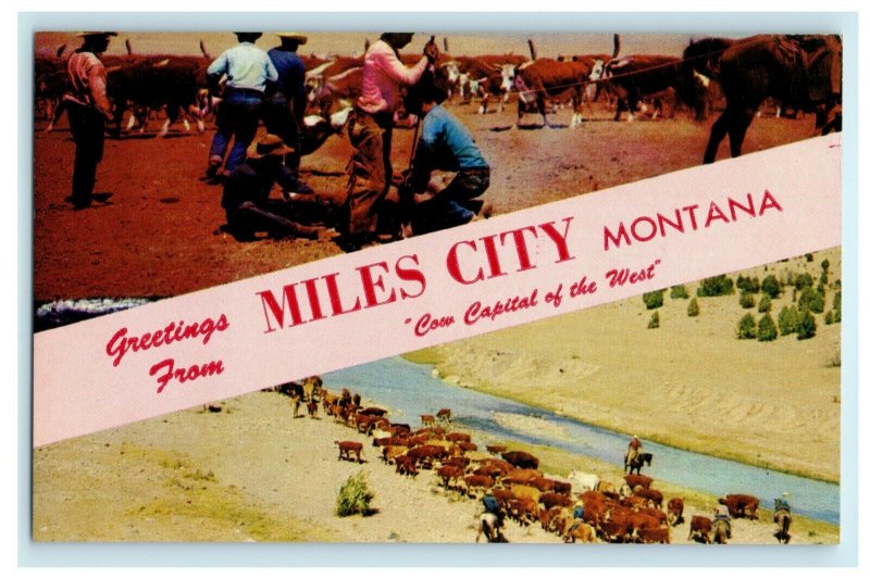 c1940's Greetings From Miles City Montana MT Large Letter Cowboys Postcard 
