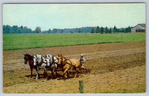 Discing With 4 Horse Hitch, Mennonite Farm Elmira Ontario, Vintage Postcard #2