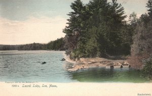 Vintage Postcard Laurel Offers Lake Outdoor Activities Lee Massachusetts MA
