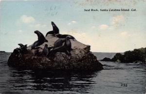 SANTA CATALINA ISLAND CA SEAL ROCK~tICHNOR BROTHERS PUBL POSTCARD 1910s