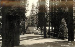RPPC Postcard Patterson 2H1 Hartsook Richardson Grove Humboldt County CA