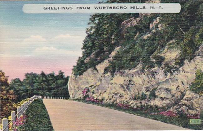 New York Greetings From Wurtsboro Hills