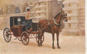 Royal Mews. Buckingham Palace.  Horses Tuck Oilette PC # 3007