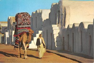 US22 Africa Tunisie Ksar Debbab tourist village folklore costume types