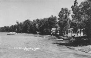 Cedar Michigan~Lake Leelanau Shoreline~Cabins on Shore~Docks~1950s RPPC