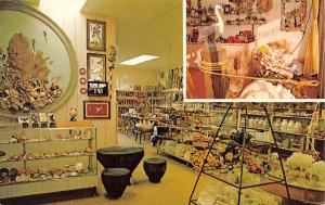 Naples. FL Florida  SEA TREASURES Gifts~Shells STORE INTERIOR  Roadside Postcard 