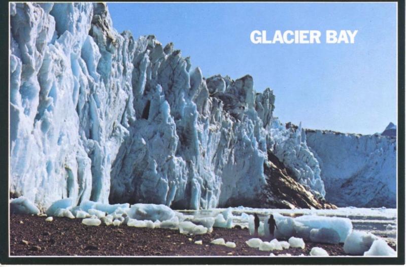 Riggs Glacier Alaska AK Glacier Bay National Monument Unused Postcard D27