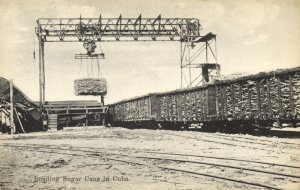 cuba, Loading Sugar Cane (1910s) Postcard