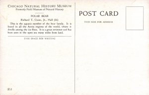 RPPC Polar Bears Male and Female w/ Cubs Postcard 2R4-317 