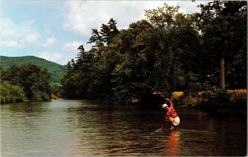 Finally Hooked Him Fishing Thomas Peters Lake River Fly  Vintage Postcard 