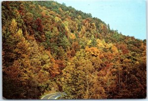 Autumn Colors, Little River Road in Great Smoky Mountains National Park - TN