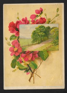 VICTORIAN TRADE CARD Malena Best Remedy on Earth Salve Rural Scene & Flowers