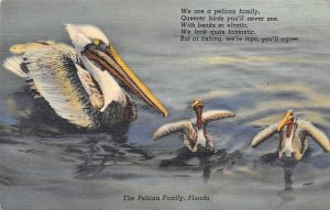 The Pelican Family View Images 