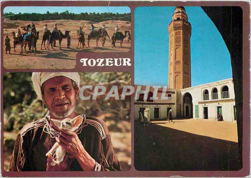 Postcard Modern Tozeur St Tijani