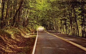 Tunnel Drive Delaware Michigan Copper Harbor MI 