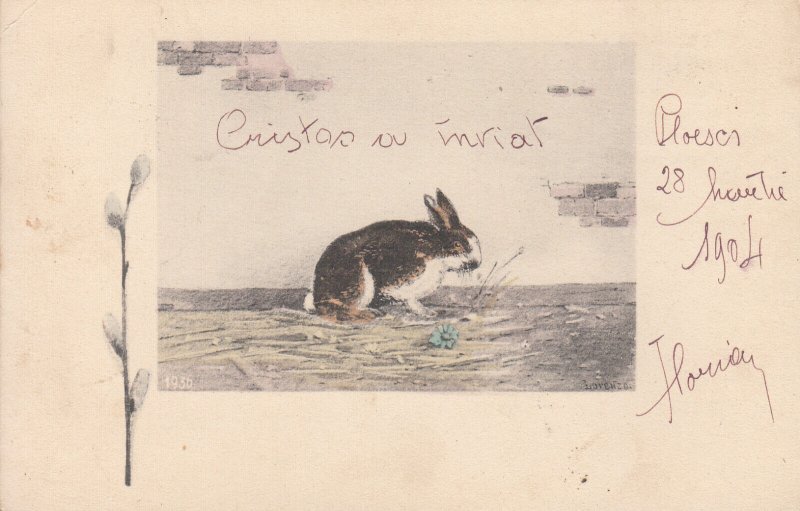 Easter greetings 1904 drawn rabbit Romania Christ is risen! postcard