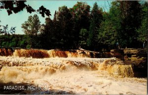 Lower Falls of Tahquamenon River, UP of MI Land of Hiawatha Vintage Postcard I40