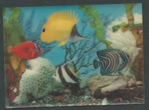 PC  3D  Card of Tropical Fish