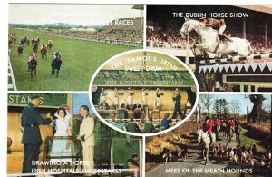 The Famous Irish Sweep Drum, Irish Hospitals Sweepstakes, Horse Races