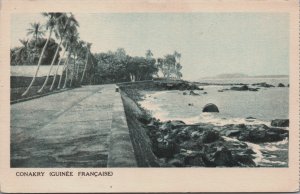 France Guinea Conakry  Vintage Postcard C218