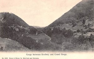 Gorge between Roxbury & Grand Gorge in Grand Gorge, New York